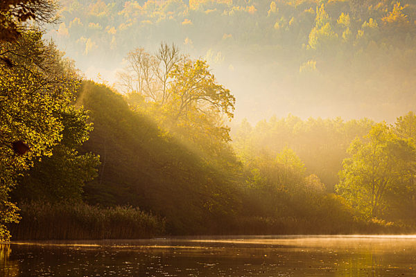 Lake fog landscape with Autumn foliage and tree reflections in Styria, Thal, Austria