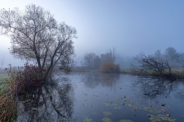 Morgennebel an der Paar bei Schrobenhausen im Herbst