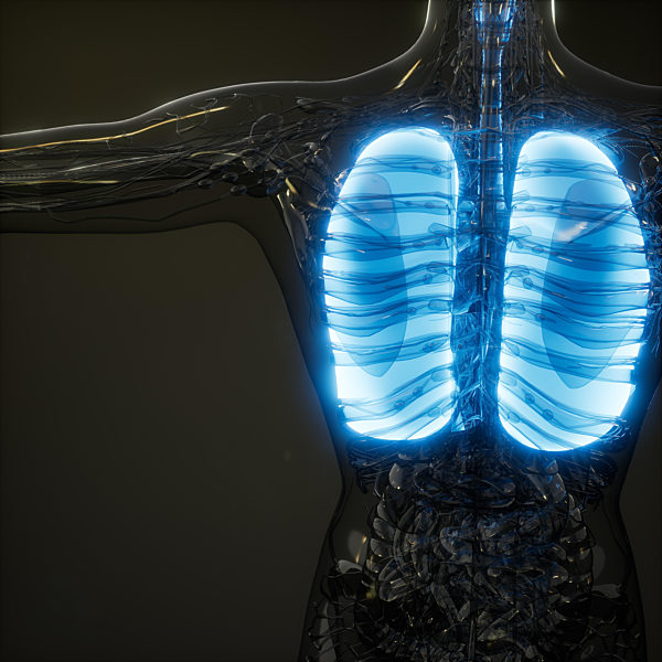 Human Lungs Radiology Exam