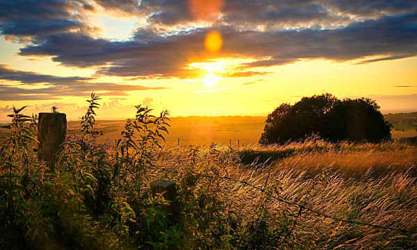 landscape at sunset at avesbury hill england