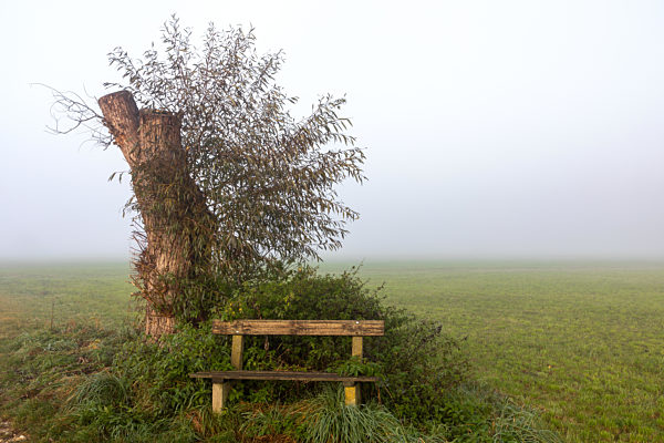 Nebliger Rastplatz an der Paar bei Schrobenhausen im Herbst