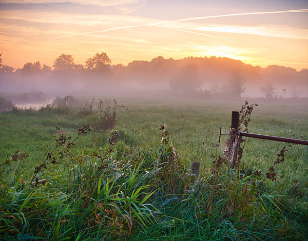 Morgennebel