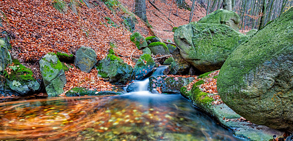 kleiner Bach im Harz