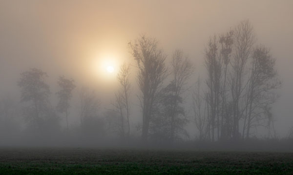Nebliger Sonnenaufgang an der Paar bei Schrobenhausen im Herbst