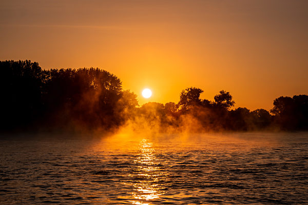 Cologne Germany rhine river sunrise with fog and mist in the morning