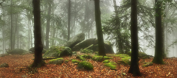 Felsformationen auf dem Götzenstein