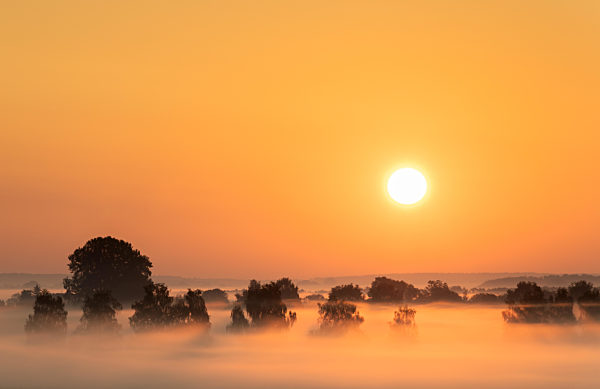 Nebliger Sonnenaufgang ueber dem Donaumoos in Bayern