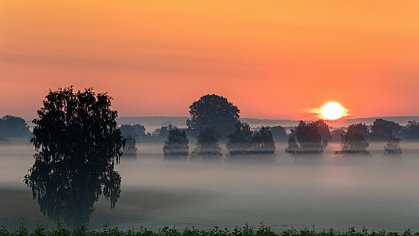 Nebliger Sonnenaufgang ueber dem Donaumoos in Bayern