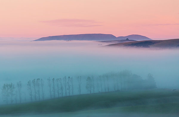Fog in the fields