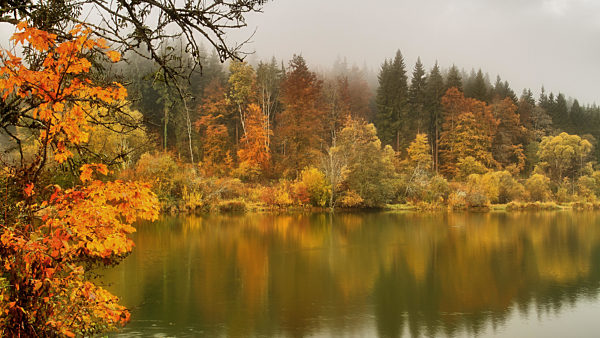 See im Naturpark Obere Donau