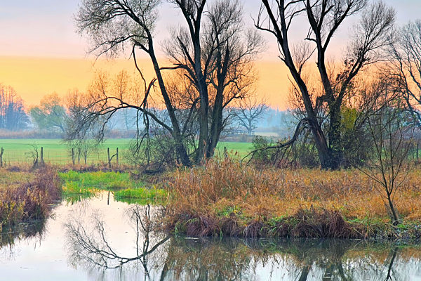Kleiner Spreewald im Herbst - small Spree Forest in fall, Brandenburg