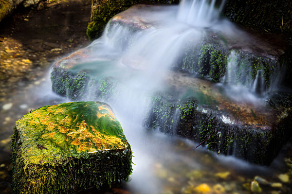 Tiny Waterfall in Sussex