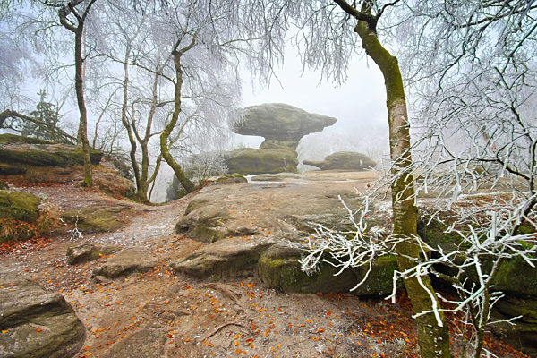 Sandsteinfelsen im Elbsandsteingebirge mit Raureif im Nebel -  Sandstone rocks in the Elbe Sandstone Mountains with hoarfrost in the fog