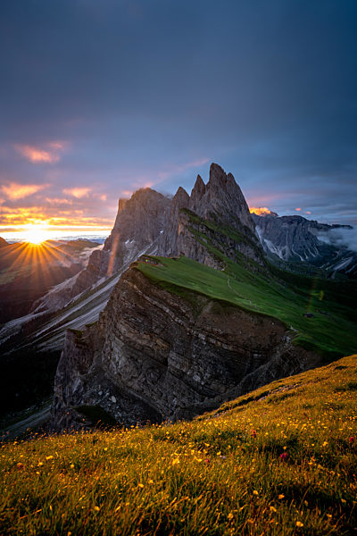 The beautiful reefs of sharm el Sheikh - Egypt.