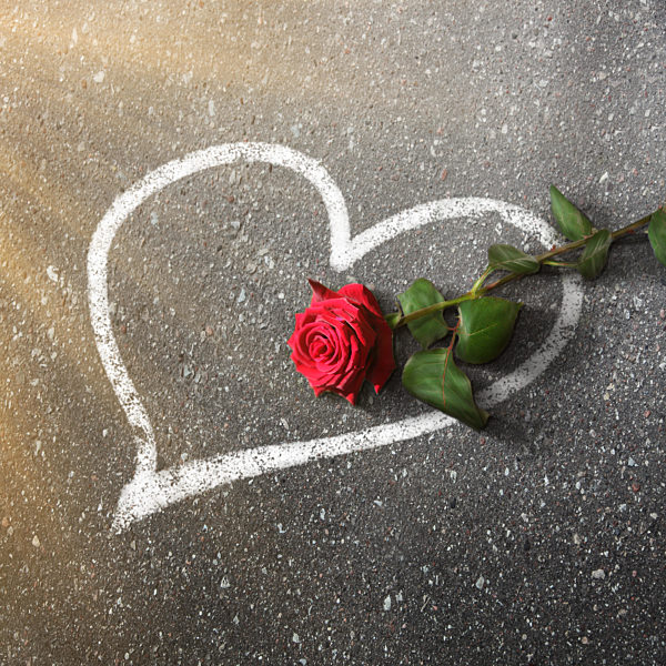 Happy Valentine's day. Congratulatory background with rose flower