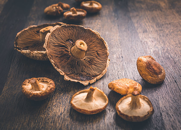 Edible mushrooms (Agaricus bisporus) - Portobello and shiitake mushrooms on wooden background