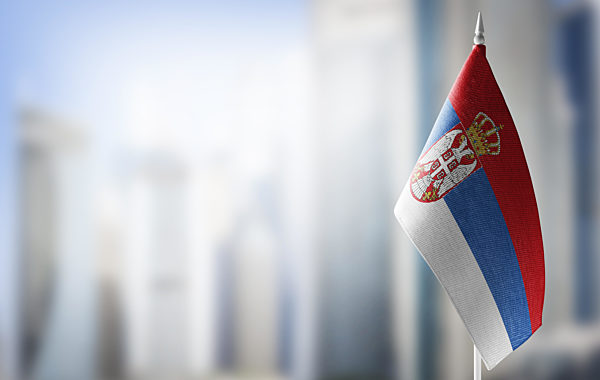 A small flag of Serbia on the background of a blurred background