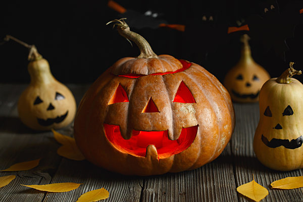 Halloween design with pumpkins. Horrible symbol of Halloween - Jack-o-lantern. Scary head of pumpkin with flame and a few small painted gourds.  Glowing face, trick or treat.