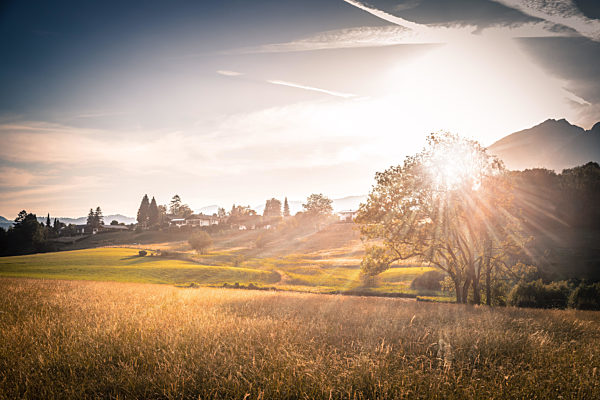 Scenic sundown: Golden meadow, hills and mountains.