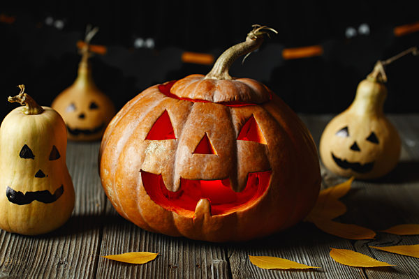 Halloween design with pumpkins. Horrible symbol of Halloween - Jack-o-lantern. Scary head of pumpkin with flame and a few small painted gourds. Glowing face, trick or treat. Copy Space