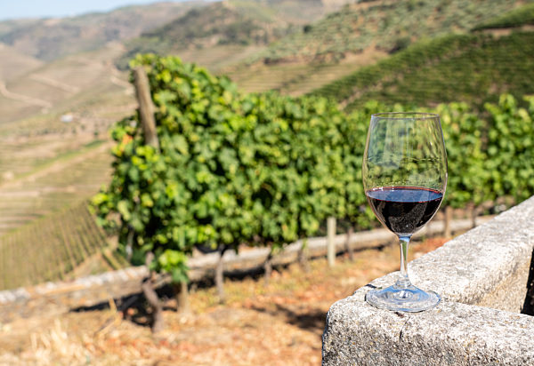 Glass of red wine above the valley of the River Douro in Portugal