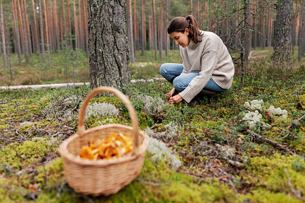 young woman picking mushrooms in autumn forest