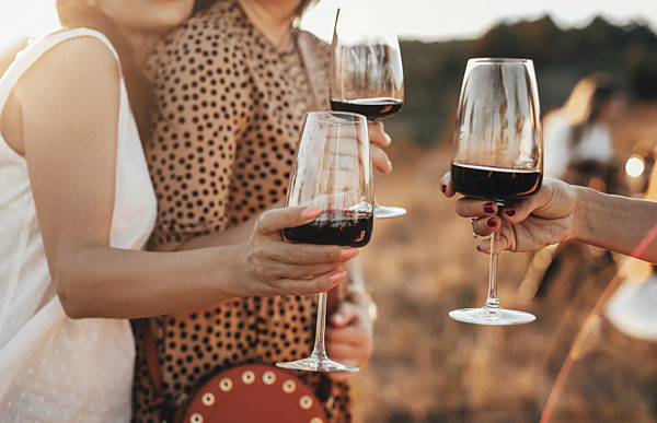 Friends clinking glasses with wine during picnic