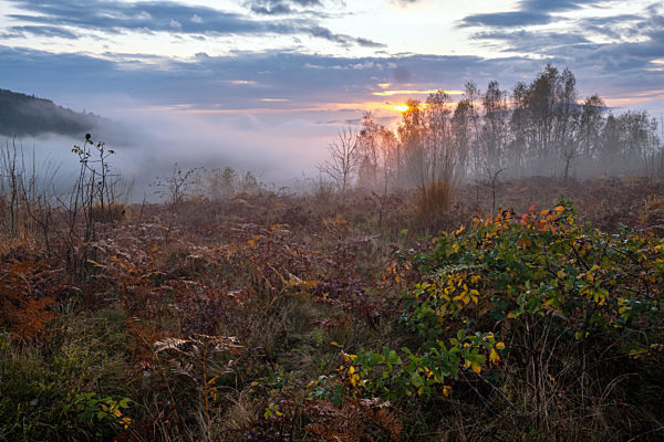 Cloudy and foggy autumn mountain sunrise scene. Peaceful picturesque traveling, seasonal, nature and countryside beauty concept scene.
