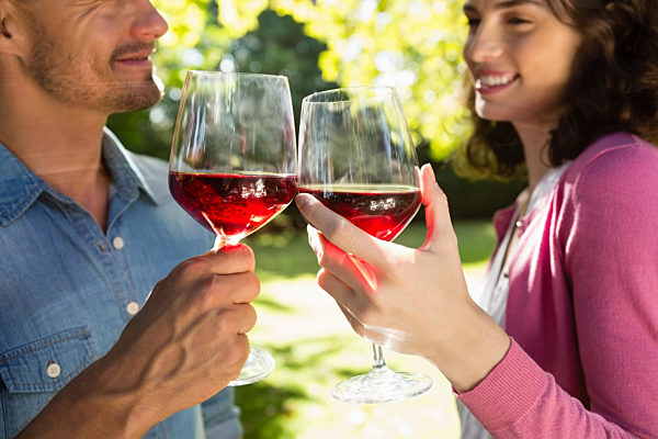Romantic couple toasting glass of wine in park