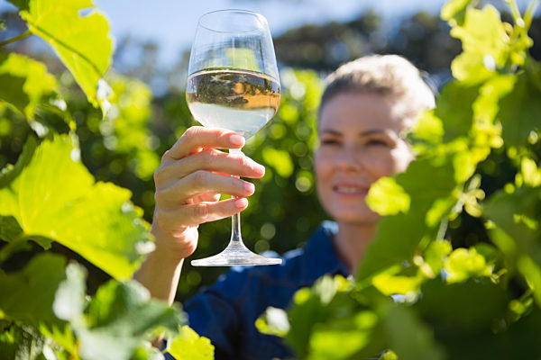 Female vintner examining glass of wine in vineyard