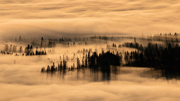 Silent morning scenery in autumn nature with sun rising about clouds