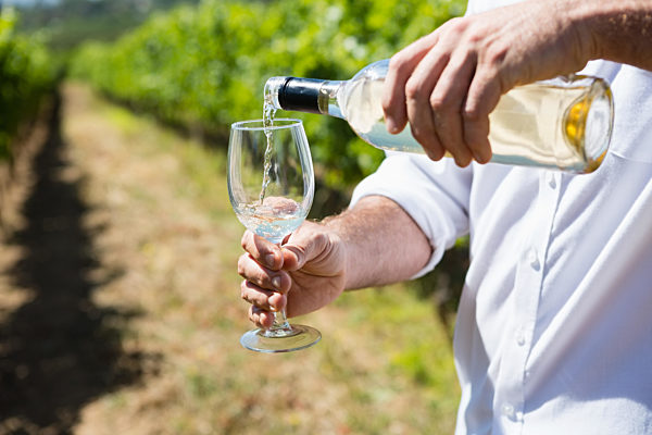 Mid section of vintner examining wine