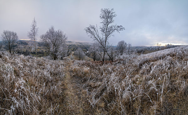 Winter coming. Picturesque pre sunrise scene above late autumn mountain countryside with hoarfrost on grasses, trees, slopes. Peaceful sunlight rays from cloudy sky. Ukraine, Carpathian Mountains.