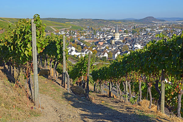 Ahrwieler, vineyards and the town
