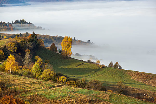 Morning foggy clouds in autumn mountain countryside.  Ukraine, Carpathian Mountains, Transcarpathia.