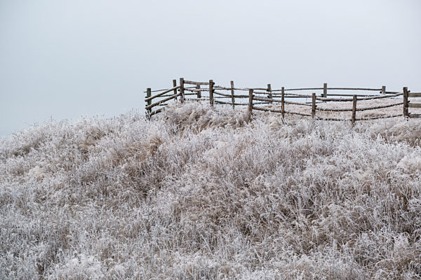 Winter coming. Picturesque foggy and moody pre sunrise scene in late autumn mountain countryside with hoarfrost on grasses, trees, slopes. Ukraine, Carpathian Mountains.