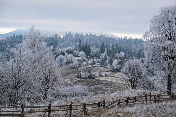 Winter coming. Picturesque foggy and moody morning scene in late autumn mountain countryside with hoarfrost on grasses, trees, slopes. Ukraine, Carpathian Mountains.