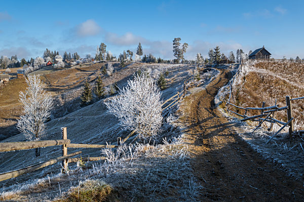 Winter coming. Last days of autumn, morning in mountain countryside peaceful picturesque hoarfrosted scene. Dirty road from hills to the village. Ukraine, Carpathian mountains.