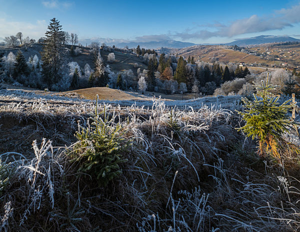 Winter coming. Last days of autumn, morning in mountain countryside peaceful picturesque hoarfrosted scene. Dirty road from hills to the village. Ukraine, Carpathian mountains.