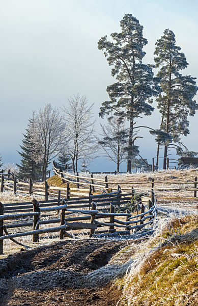 Winter coming. Last days of autumn, morning in mountain countryside peaceful picturesque hoarfrosted scene. Dirty road from hills to the village. Ukraine, Carpathian mountains.