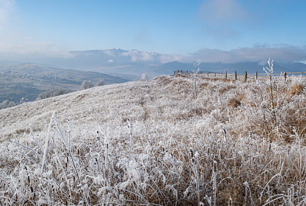Winter coming. Picturesque moody morning scene in late autumn mountain countryside with hoarfrost on grasses, trees, slopes. Ukraine, Carpathian Mountains.