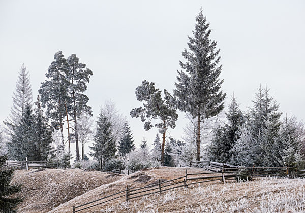 Winter coming. Last days of autumn, morning in mountain countryside peaceful picturesque hoarfrosted scene. Dirty road from hills to the village. Ukraine, Carpathian mountains.