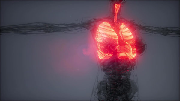 Human Lungs Radiology Exam