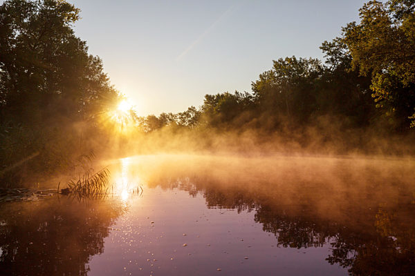 Fog on the river