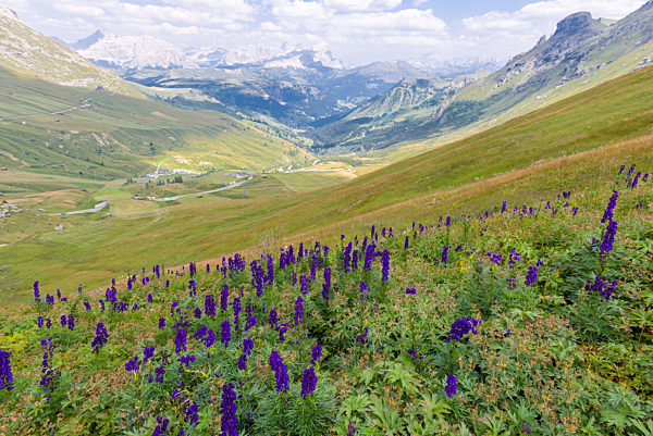 Panorama over the Marmolada Group from the Sella Group