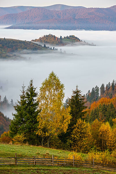 Cloudy and foggy autumn mountain early morning pre sunrise scene. Ukraine, Carpathian Mountains, Transcarpathia.