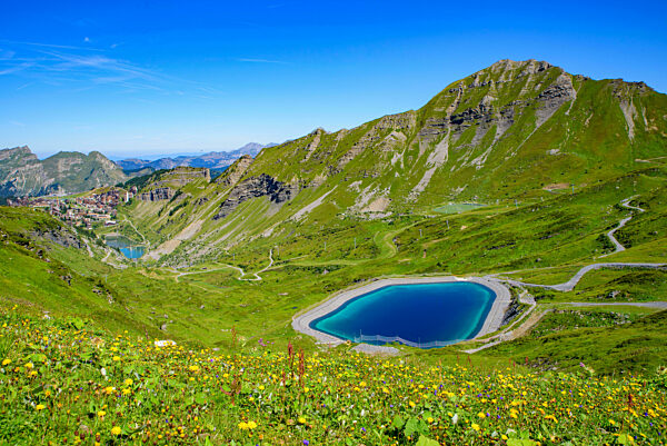 Landscape of mountains of Alps in summer with flowers and a lake in Portes du Soleil, France, Europe