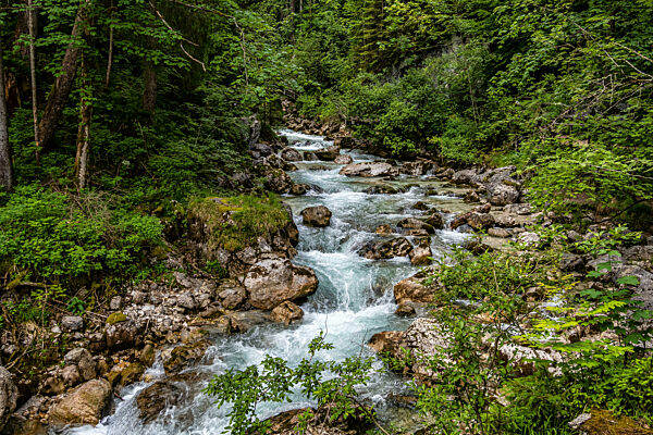Magic Forest Zauberwald at Lake Hintersee with Creek Ramsauer Ache. National Park Berchtesgadener Land, Germany