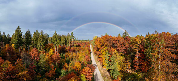 Stunning rainbow over colorful trees in the fall season, concept for the beautiful nature at a wonderful day in ther autumn.