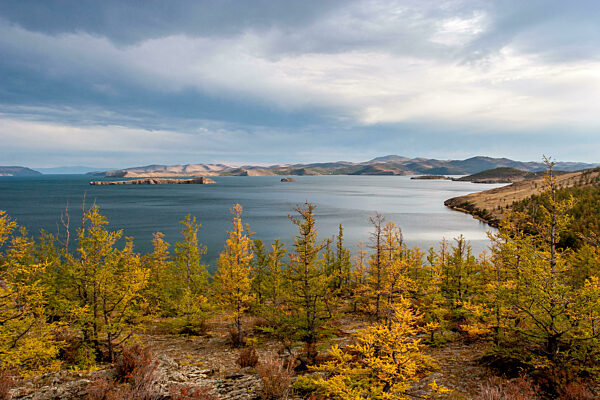 Autumn landscape with trees and a view of Lake Baikal. Yellow trees in the foreground. Clouds in the sky. Horizontal.